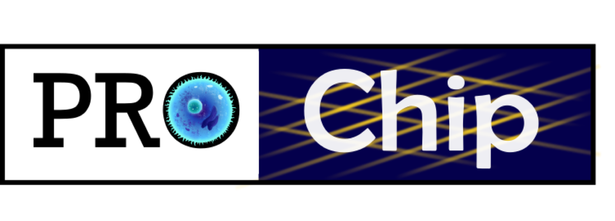 PROCHIP – Chromatin organization PROfiling with high-throughput super-resolution microscopy